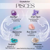 PISCES  Feb 19-March 20