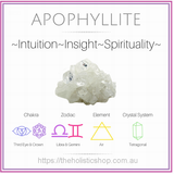 Butterfly Spirit Animal - Transformation and Soul Family - Crystals