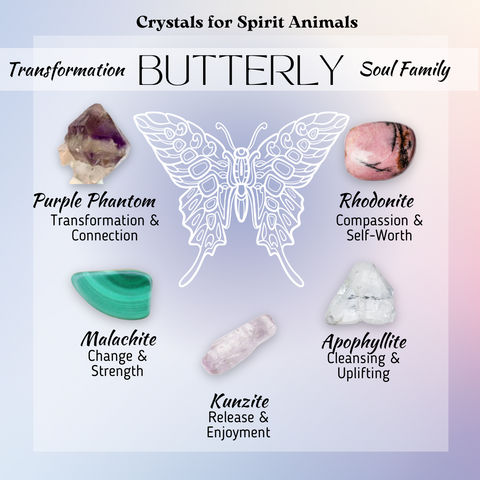 Butterfly Spirit Animal - Transformation and Soul Family - Crystals