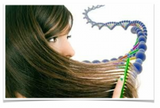 Hair Screening | The Holistic Shop in Wagga Wagga