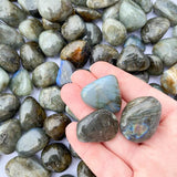 Labradorite Tumbled Stone (Brazil) MEDIUM - Transformation, Anxiety, Depression and Protection - Crystal Healing