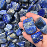 Lapis Lazuli Tumbled Stone MEDIUM - Stress, Communication, Intuition and Inner Power