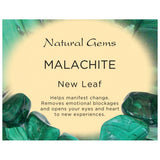 Malachite (South Africa) Large Tumbled Stone - A Grade - New Leaf, Leadership, Creativity and Confidence
