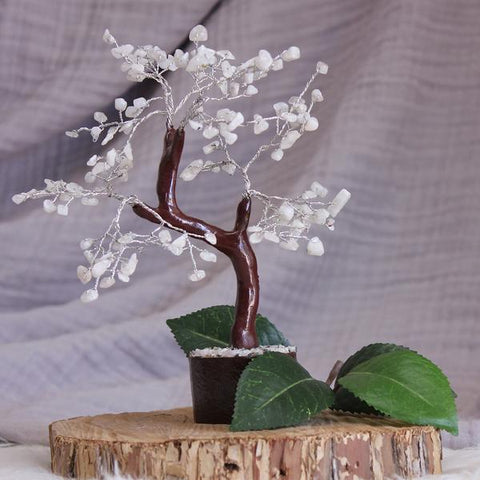 Rainbow Moonstone Crystal Gemstone Tree - Brown Base 22cm - Crystal Healing