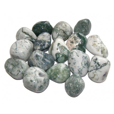 Dendritic Tree Agate (India) Medium Tumbled Stone - Self Esteem, Clarity and Stability - Crystal Healing