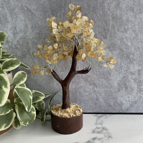 Citrine Crystal Gemstone Tree - LARGE Brown Branches and Base - Abundance, Happiness and Self Confidence