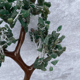 Green Aventurine Crystal Gemstone Tree - LARGE Brown Branches and Base - Healing, Abundance and Growth