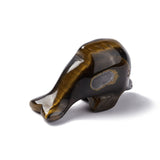 Tigers Eye Dolphin 50mm - Protection, Creativity and Balance - Crystal Healing - Gift Idea