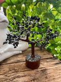 Black Tourmaline Crystal Gemstone Tree MEDIUM - Luck, Healing, Protection and Grounding