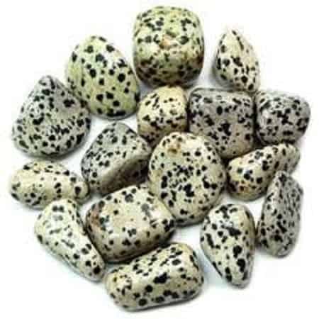 Dalmatian Jasper Tumbled Stone - Protection, Grounding and Negative Energy - Crystal Healing