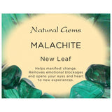 Malachite (South Africa) X-Large Tumbled Stone - AA Grade - New Leaf, Leadership, Creativity and Confidence