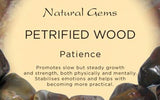 Petrified Wood Tumbled Stone - Patience, Strength and Support