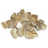 Picture Jasper Tumbled Stone - Knowledge, Grounding and Harmony - Crystal Healing