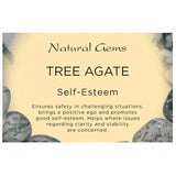 Dendritic Tree Agate (India) Medium Tumbled Stone - Self Esteem, Clarity and Stability - Crystal Healing